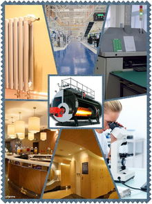 山東廠家長期供應(yīng)進(jìn)口燃燒器及2噸燃?xì)庹羝仩t，提供全面技術(shù)咨詢